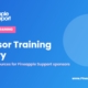 Pineapple Support corporate training